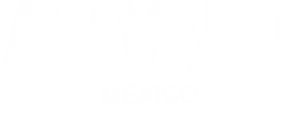 domux-realty-ampi-logo main-logo-single-white-ampi-300x73-1