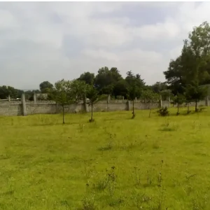 domux-realty-venta-terreno-soyaniquilpan-estado-de-mexico