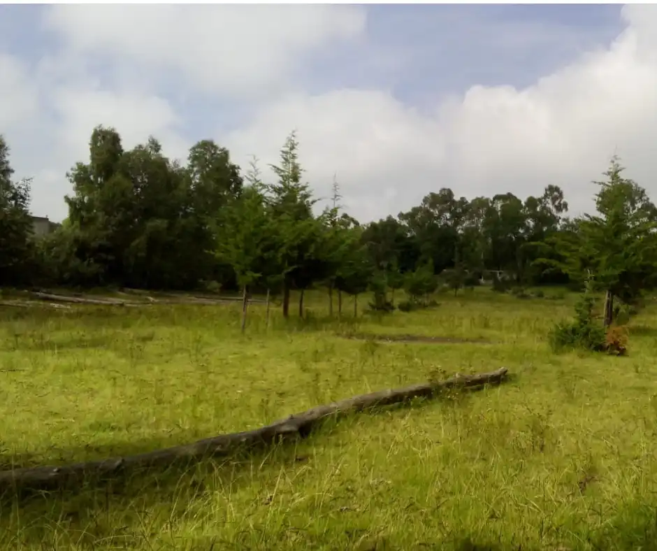 domux-realty-venta-terreno-soyaniquilpan-estado-de-mexico