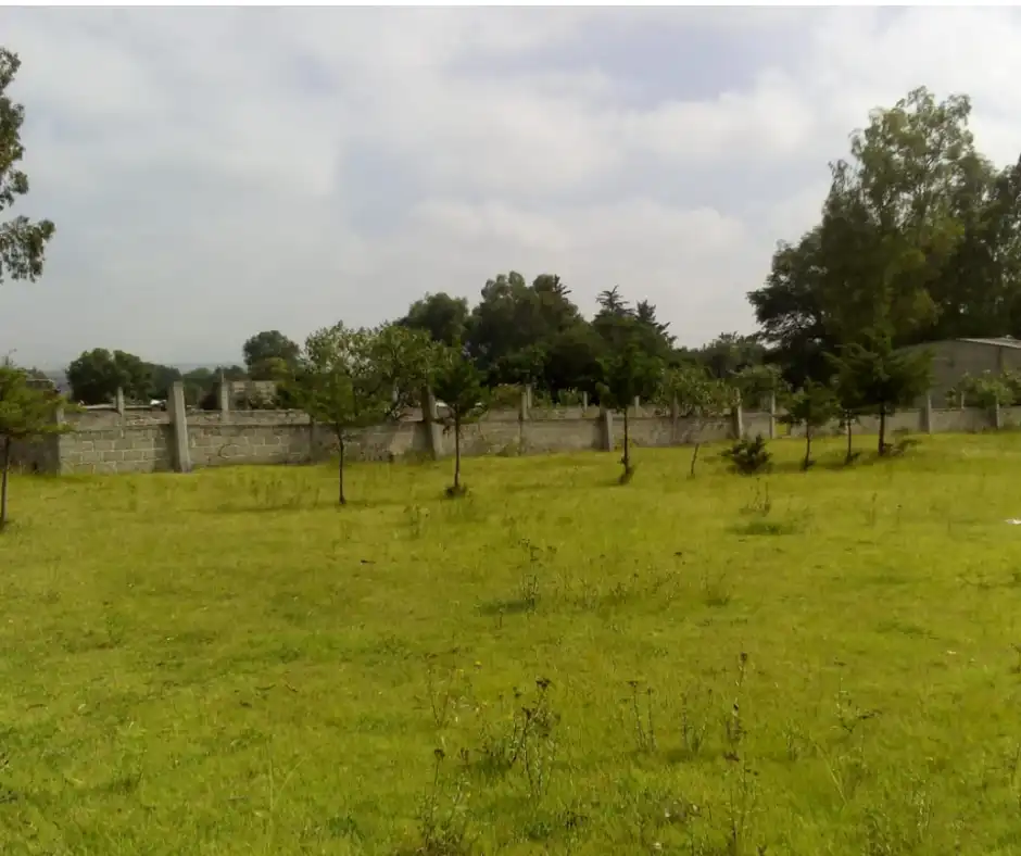domux-realty-venta-terreno-soyaniquilpan-estado-de-mexico