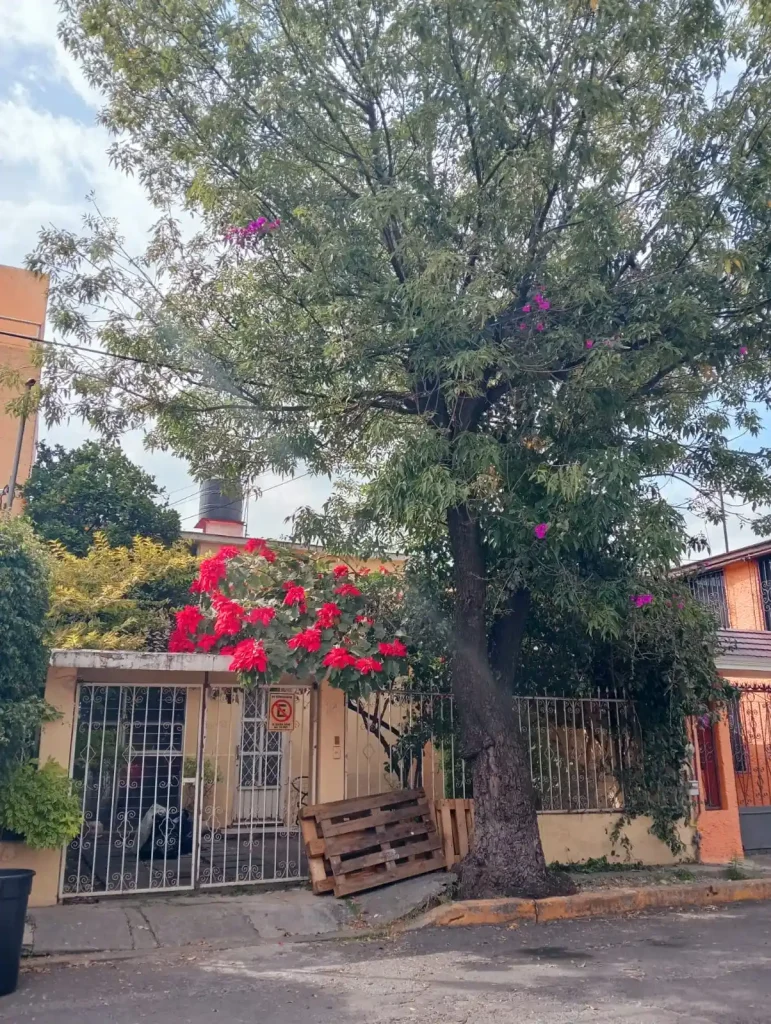 excelente-casa-para-actualizar-en-viveros-del-valle-tlalnepantal-de-baz