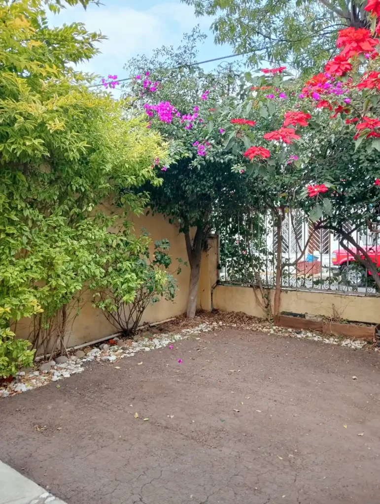 excelente-casa-para-actualizar-en-viveros-del-valle-tlalnepantal-de-baz