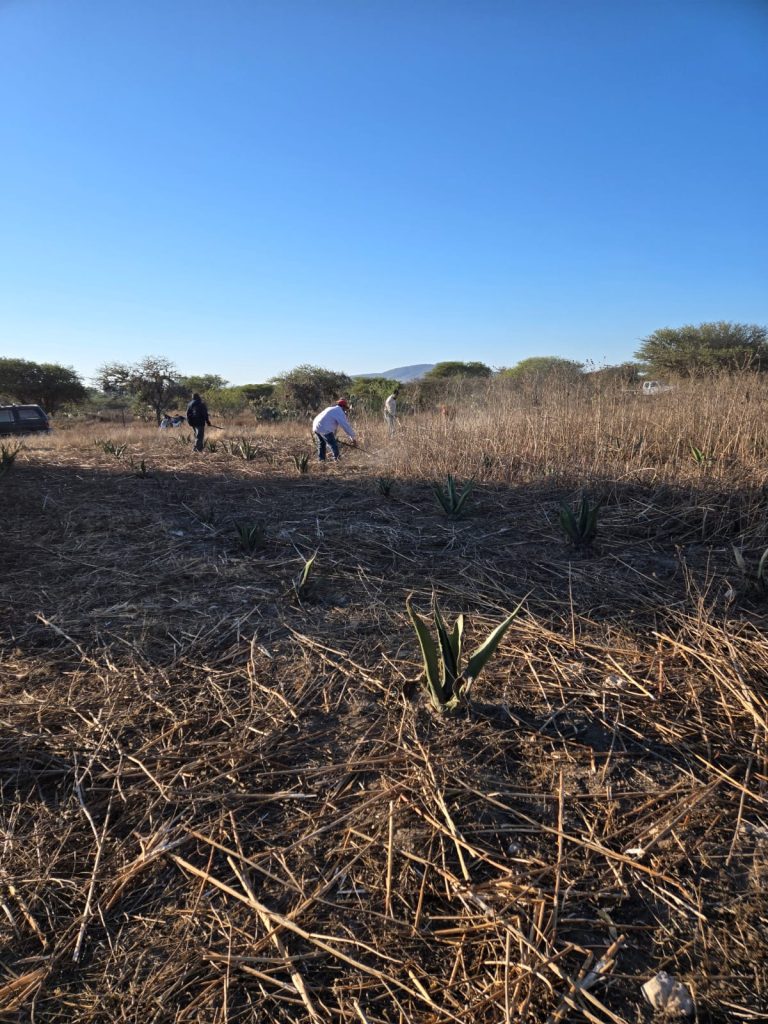 venta-de-espectacular-terreno-para-desarrollo-habitacional-o-industrial