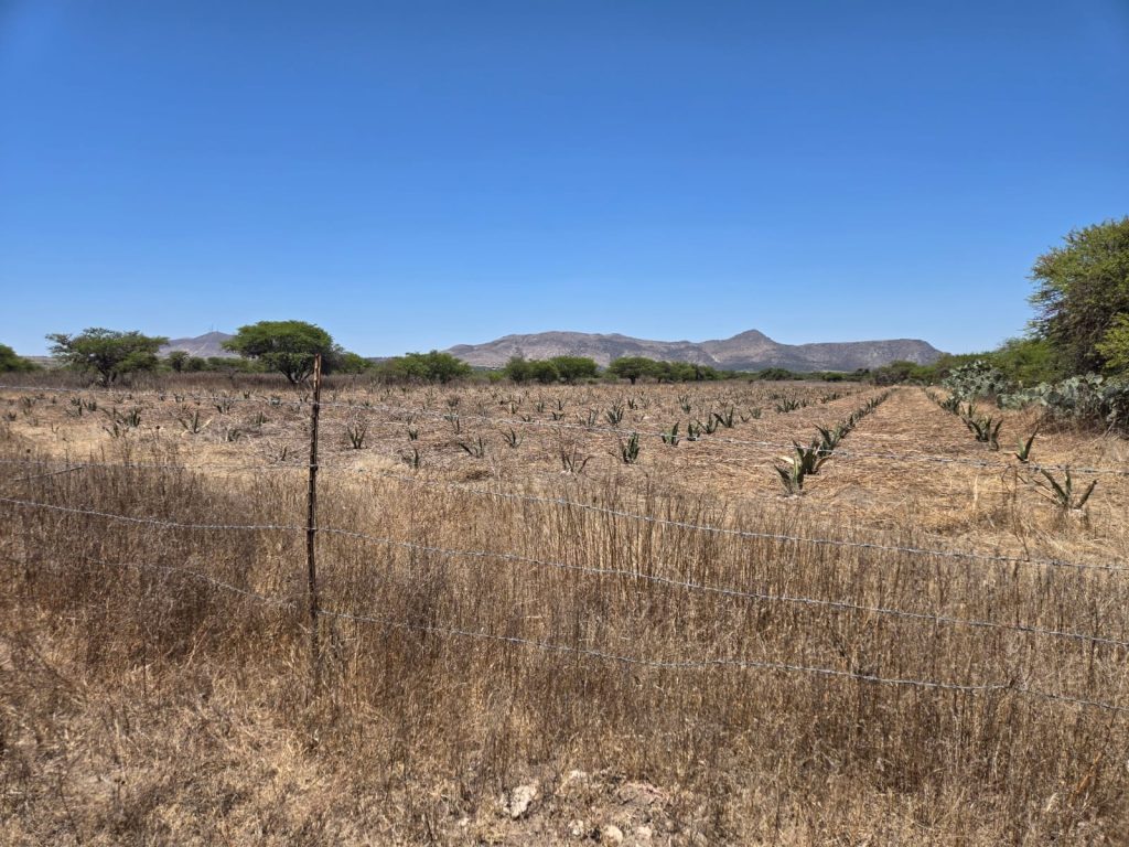 venta-de-espectacular-terreno-para-desarrollo-habitacional-o-industrial