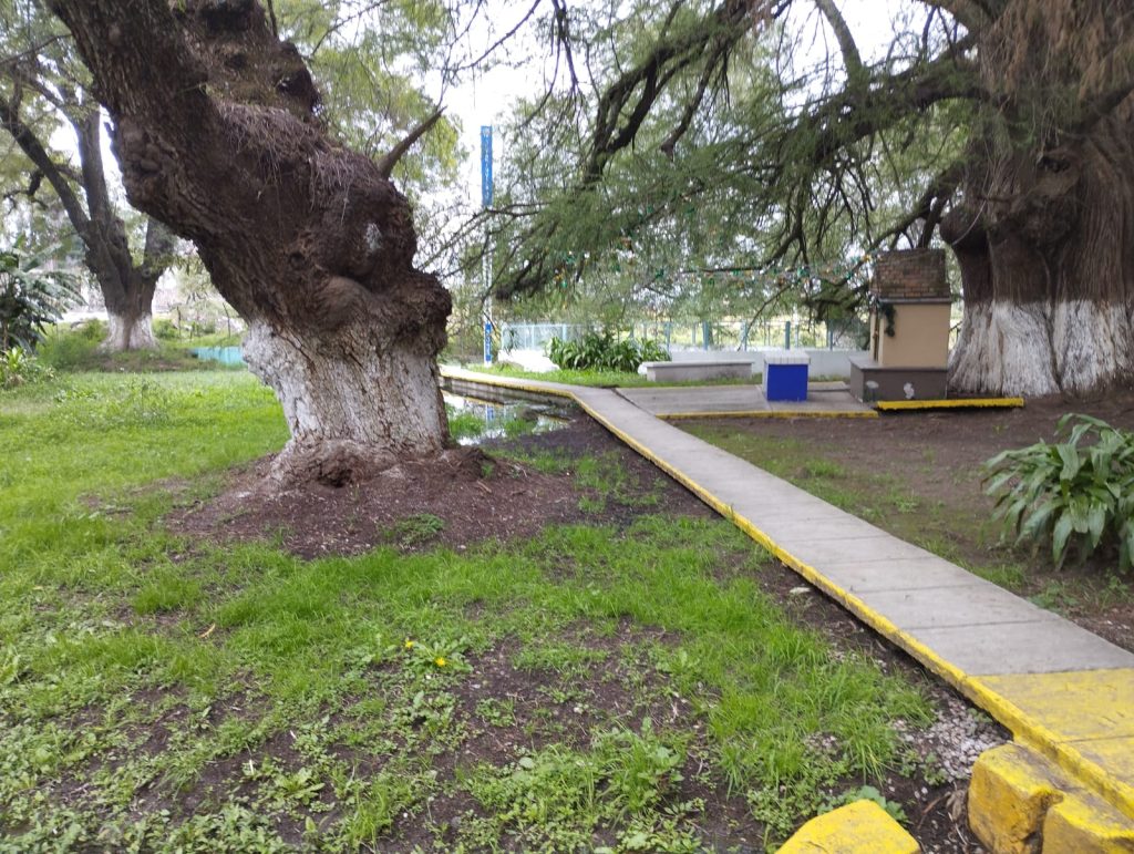 venta-de-terreno-en-san-francisco-soyaniquilpan-estado-de-mexico