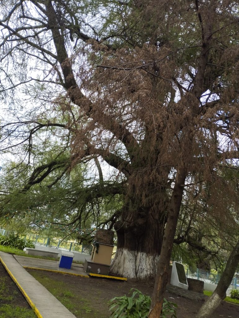 venta-de-terreno-en-san-francisco-soyaniquilpan-estado-de-mexico