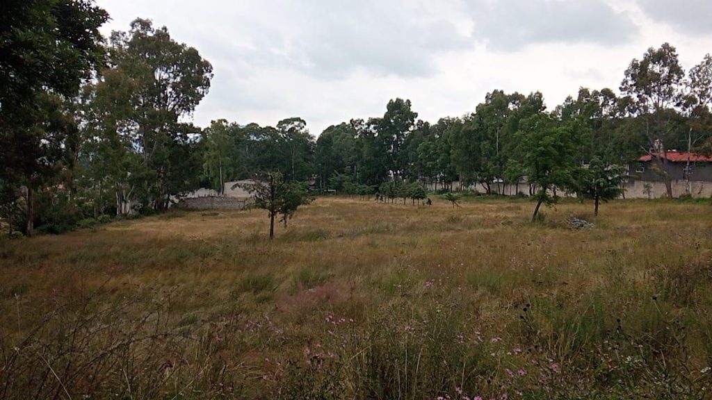 venta-de-terreno-en-san-francisco-soyaniquilpan-estado-de-mexico