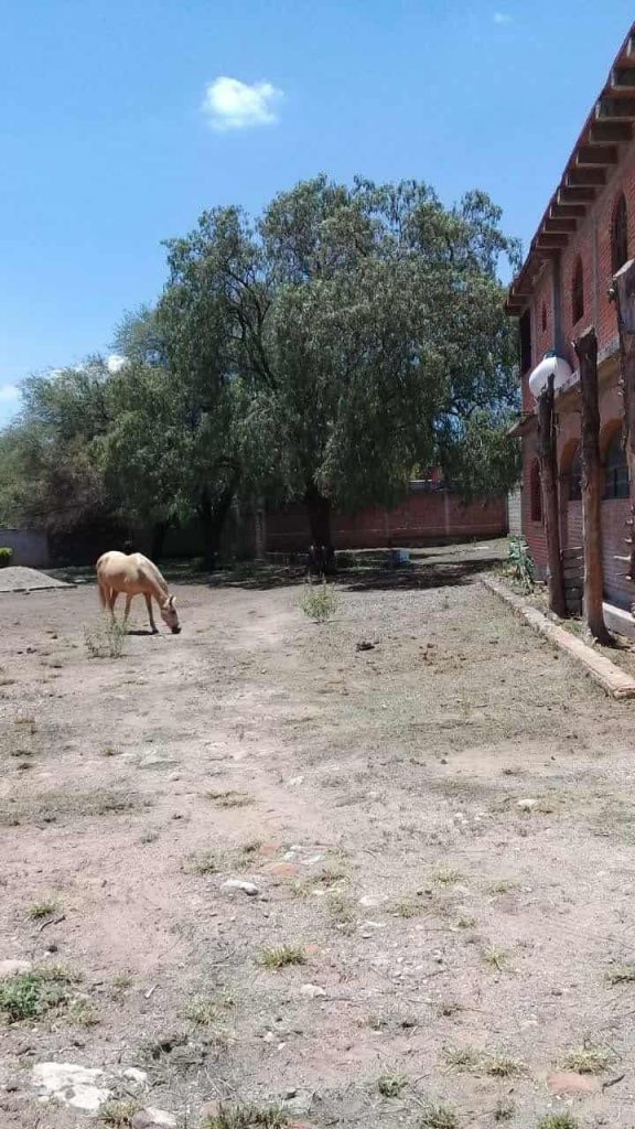 Se vende terreno en Casa Blanca, San Juan del Rio - Interior 2