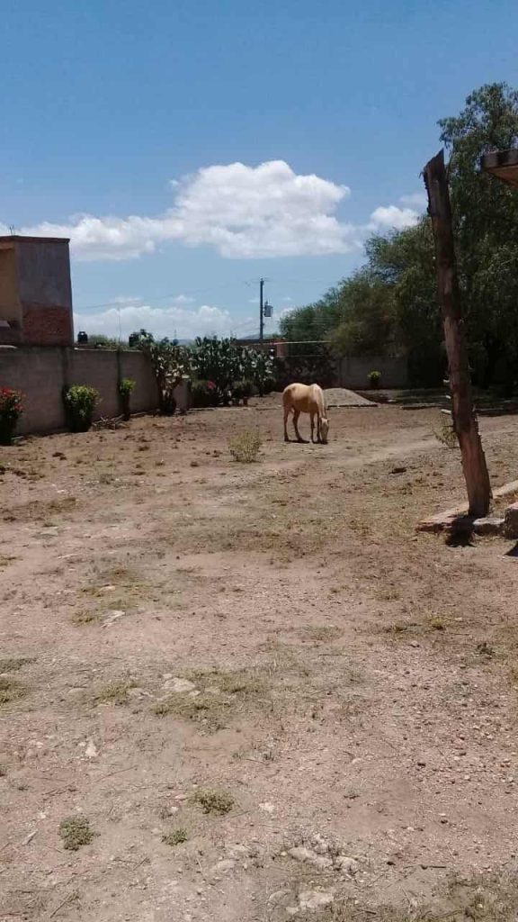 Se vende terreno en Casa Blanca, San Juan del Rio - Interior 3