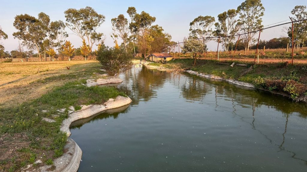 RANCHO DE LUJO EN VENTA O RENTA EN JILOTEPEC EDO MEX - Exterior 4