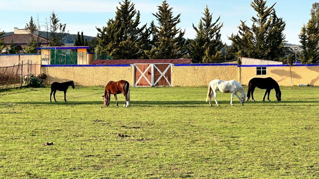 RANCHO DE LUJO EN VENTA O RENTA EN JILOTEPEC EDO MEX - Interior 3